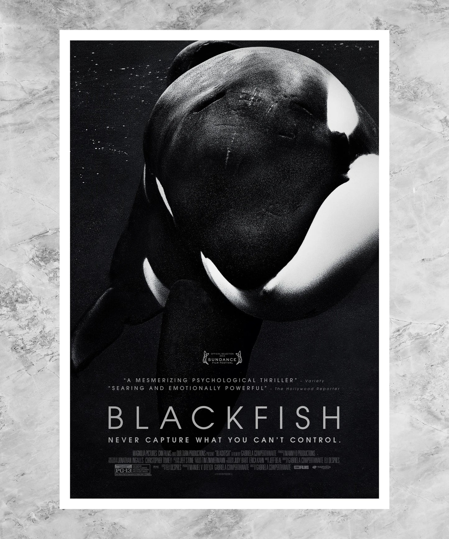 Blackfish Poster