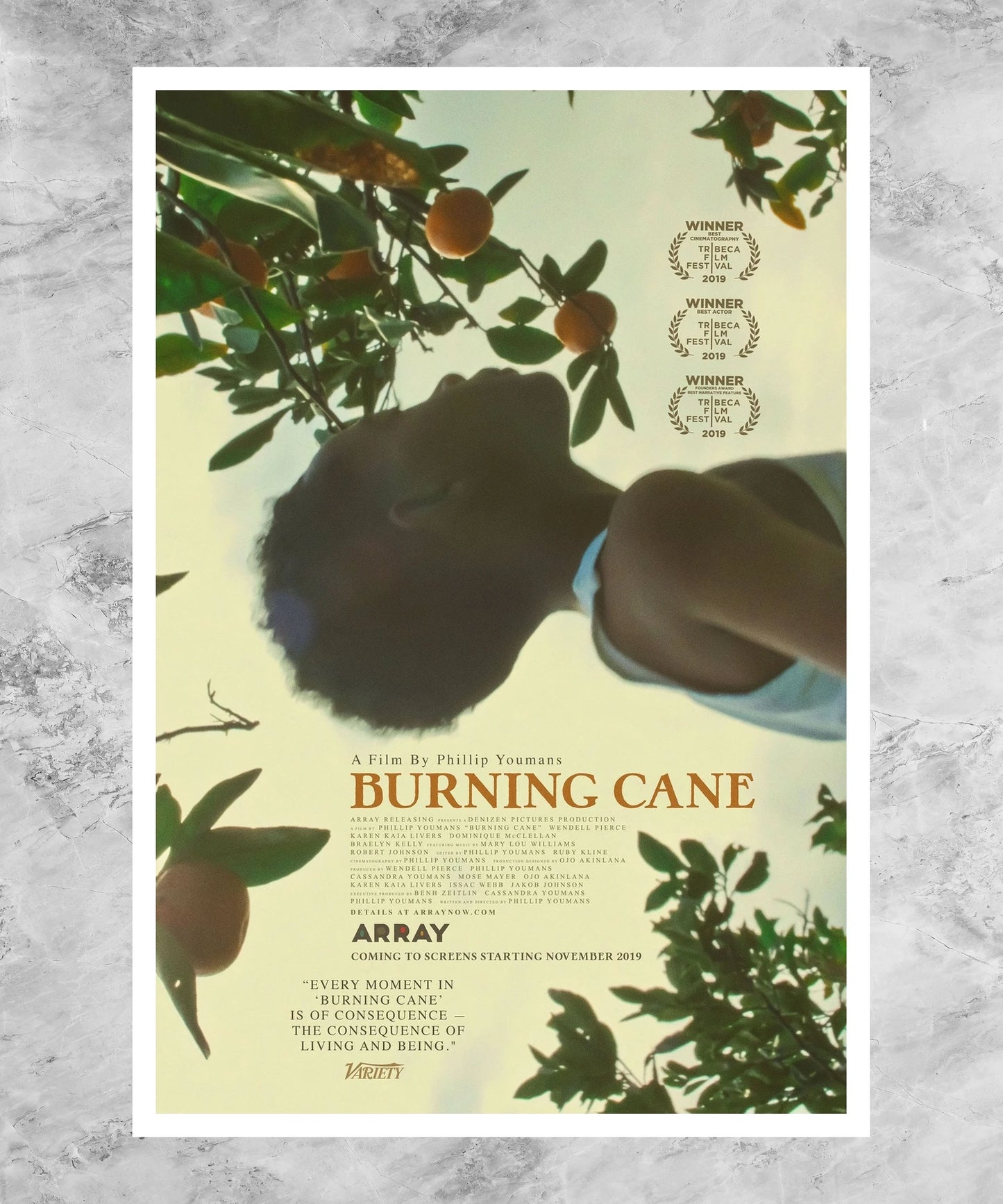 Burning Cane Poster