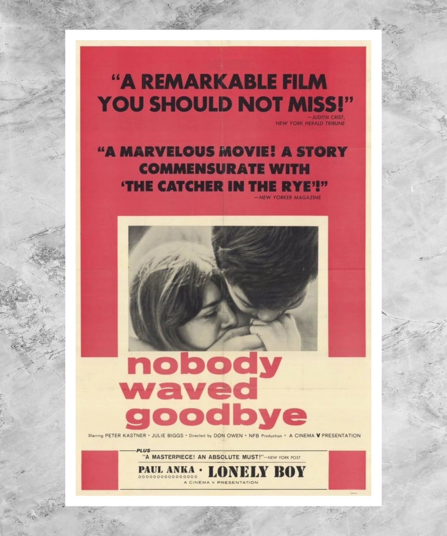 Nobody Waved Good-bye Poster