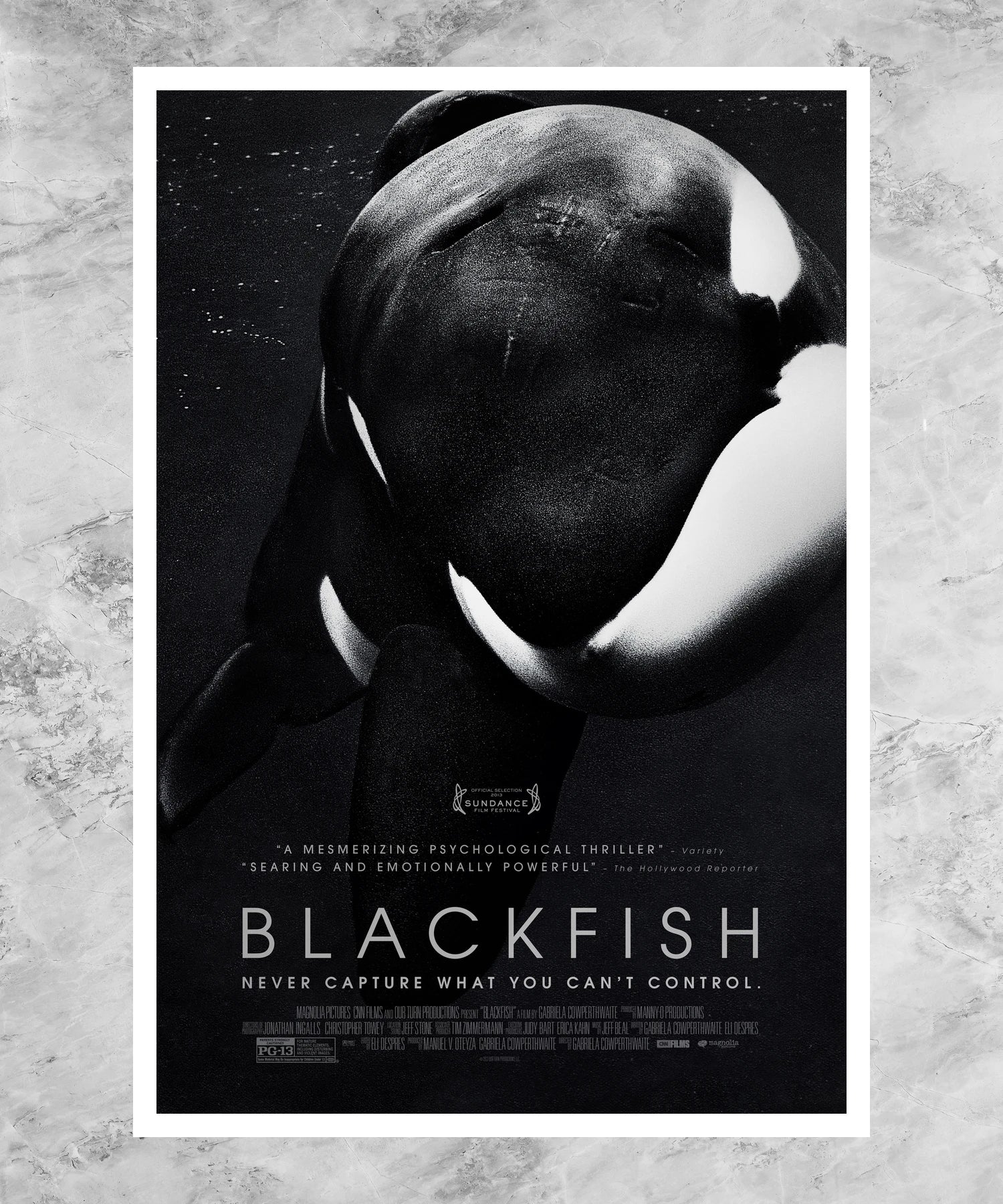 Blackfish Poster