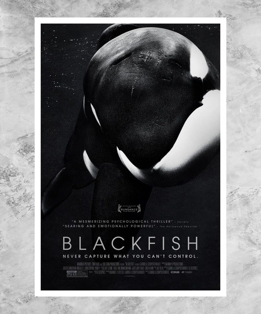 Blackfish Poster