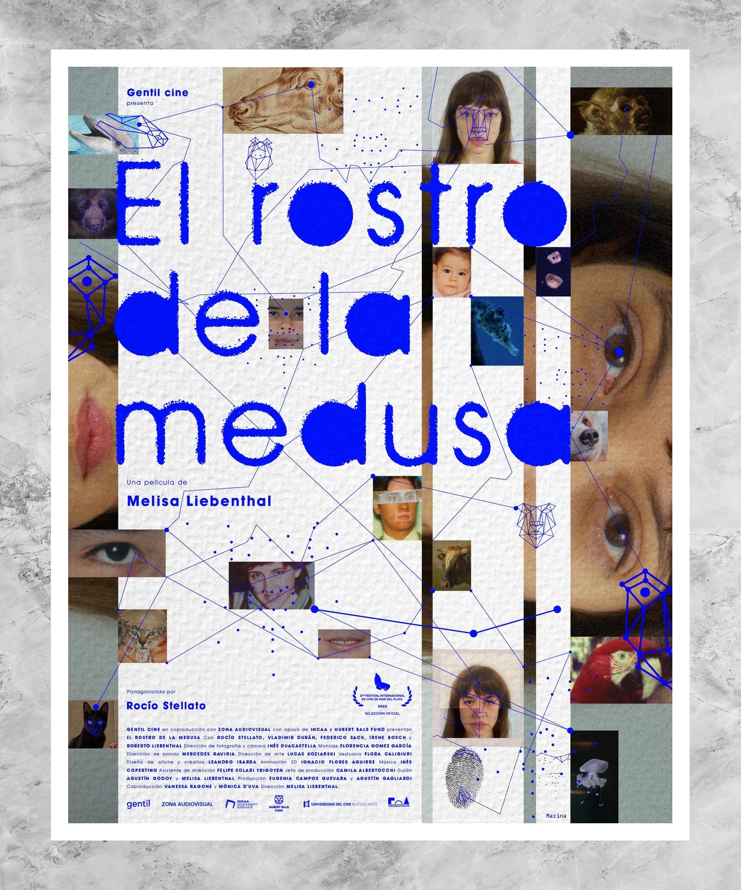 El rostro de la medusa Poster