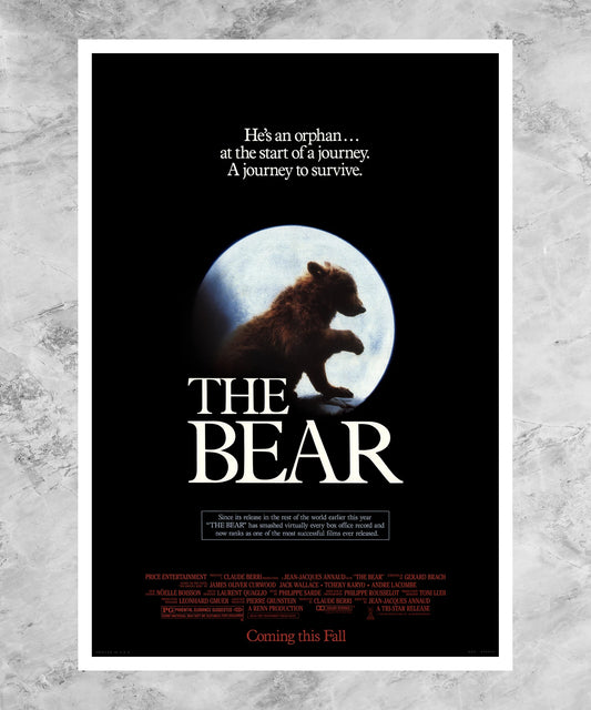 L'ours Poster
