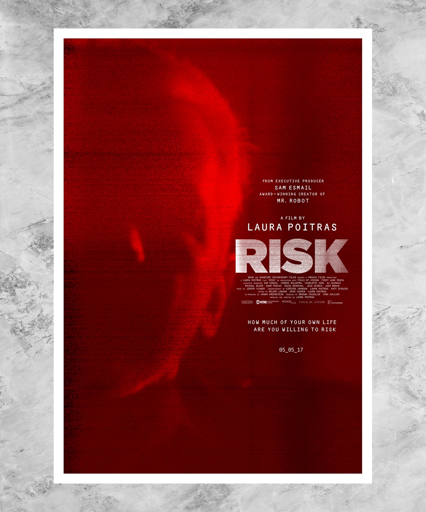 Risk Poster