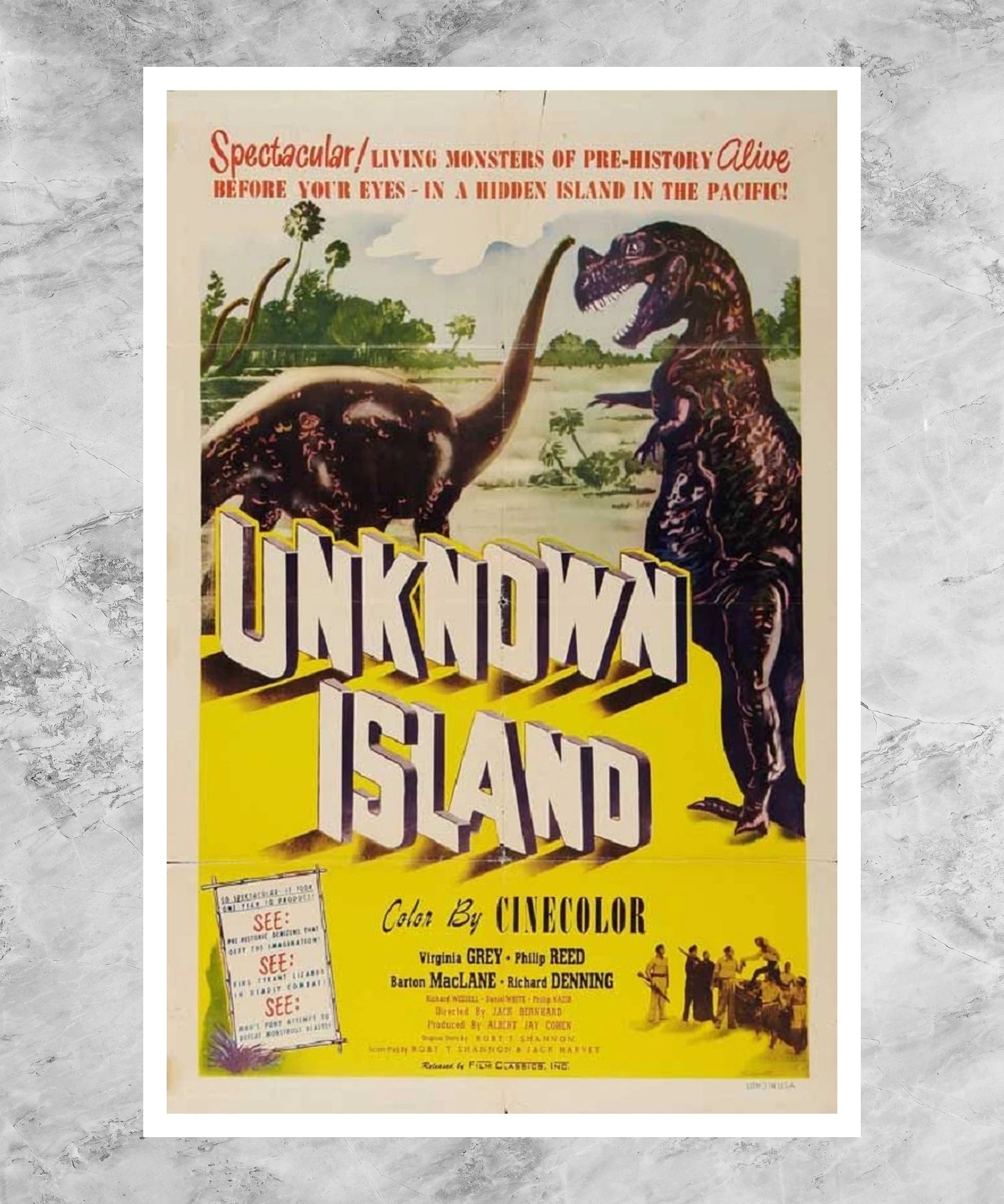 Unknown Island Poster